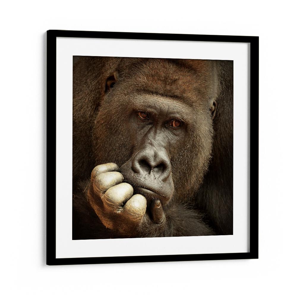 SENSE OF LIFE WILDLIFE-PHOTOGRAPHY in Black Frame With Mount