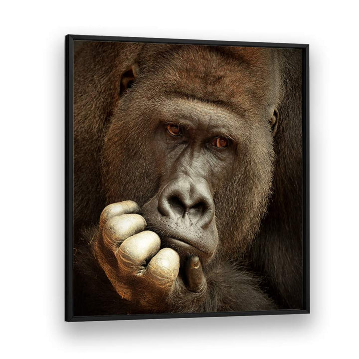 SENSE OF LIFE WILDLIFE-PHOTOGRAPHY in Black Plain Frame