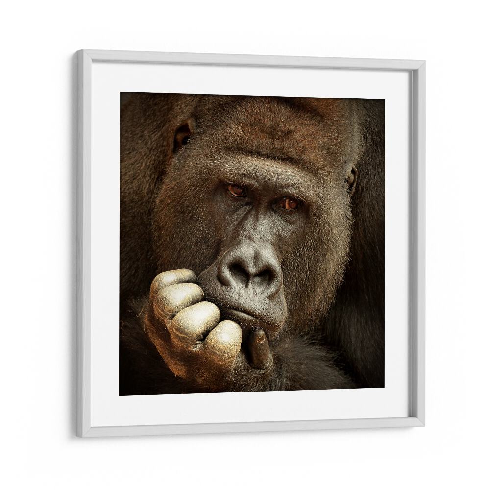 SENSE OF LIFE WILDLIFE-PHOTOGRAPHY in White Frame With Mount