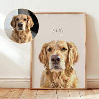 PET PORTRAIT
