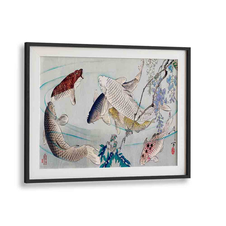 Six Carp Swimming Beneath Wisteria (1889) Japanese Art Artwork in Black Frame With Mount
