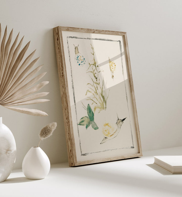 SKETCHES OF SNAILS , VINTAGE PAINTINGS