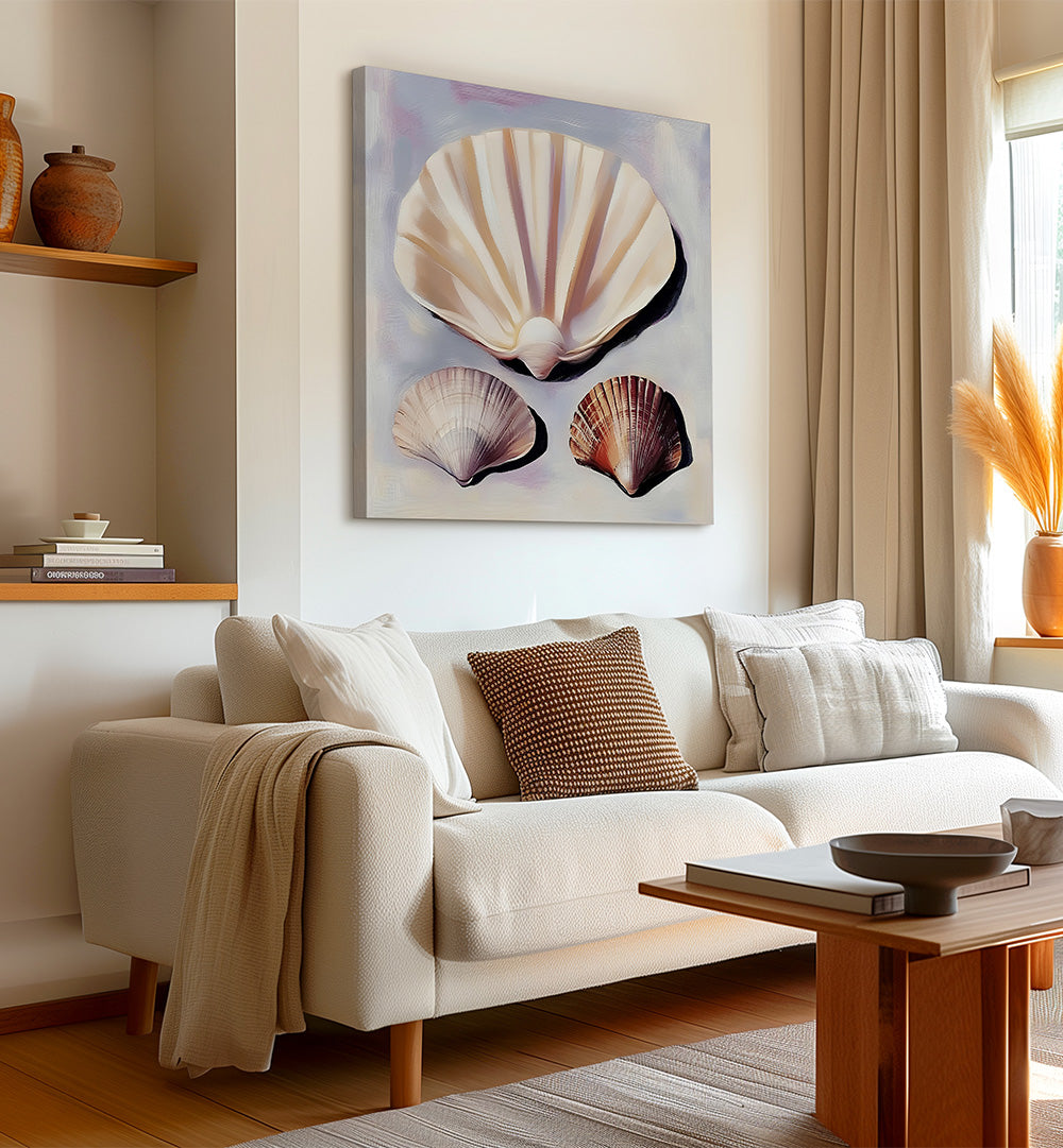 SOFT SCALLOP SHELLS