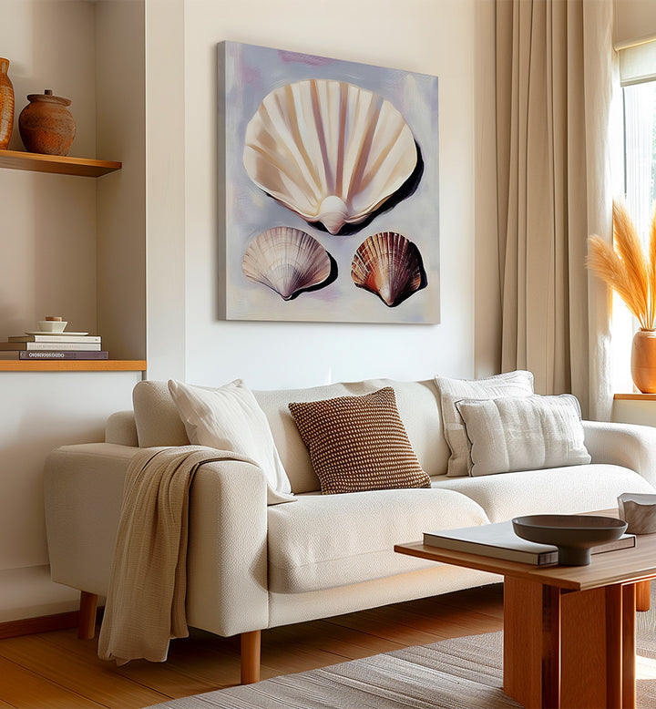 SOFT SCALLOP SHELLS