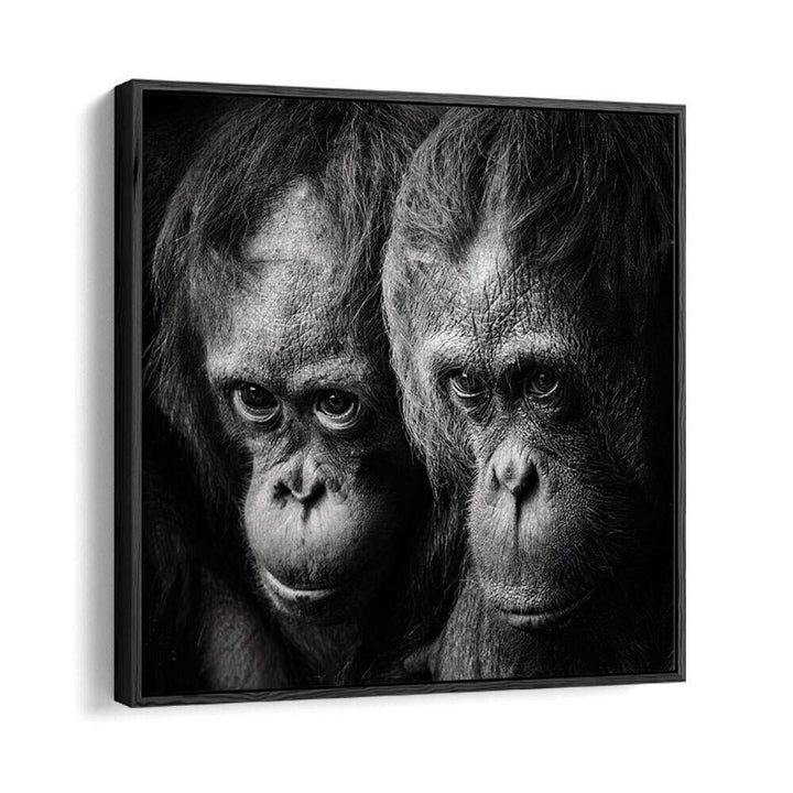 SOMETHING YOU SAID WILDLIFE PHOTOGRAPHY in Black Floater Frame