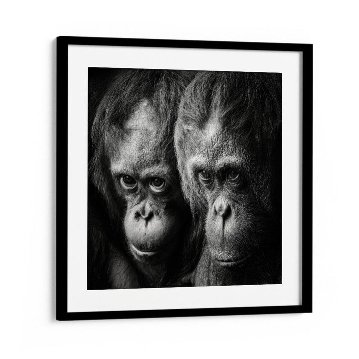 SOMETHING YOU SAID WILDLIFE PHOTOGRAPHY in Black Frame With Mount