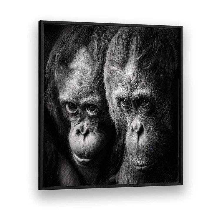 SOMETHING YOU SAID WILDLIFE PHOTOGRAPHY in Black Plain Frame