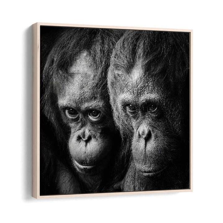 SOMETHING YOU SAID WILDLIFE PHOTOGRAPHY in Oak Wood Floater Frame