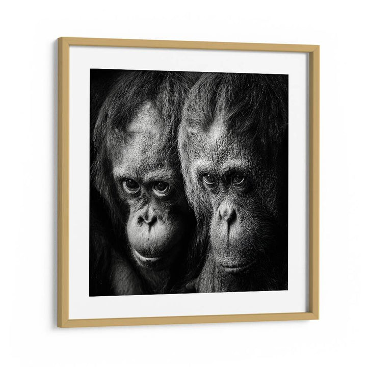 SOMETHING YOU SAID WILDLIFE PHOTOGRAPHY in Oak Wood Frame With Mount