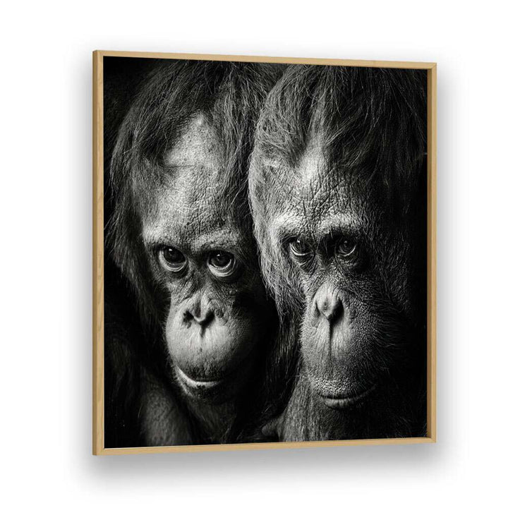 SOMETHING YOU SAID WILDLIFE PHOTOGRAPHY in Oak Wood Plain Frame