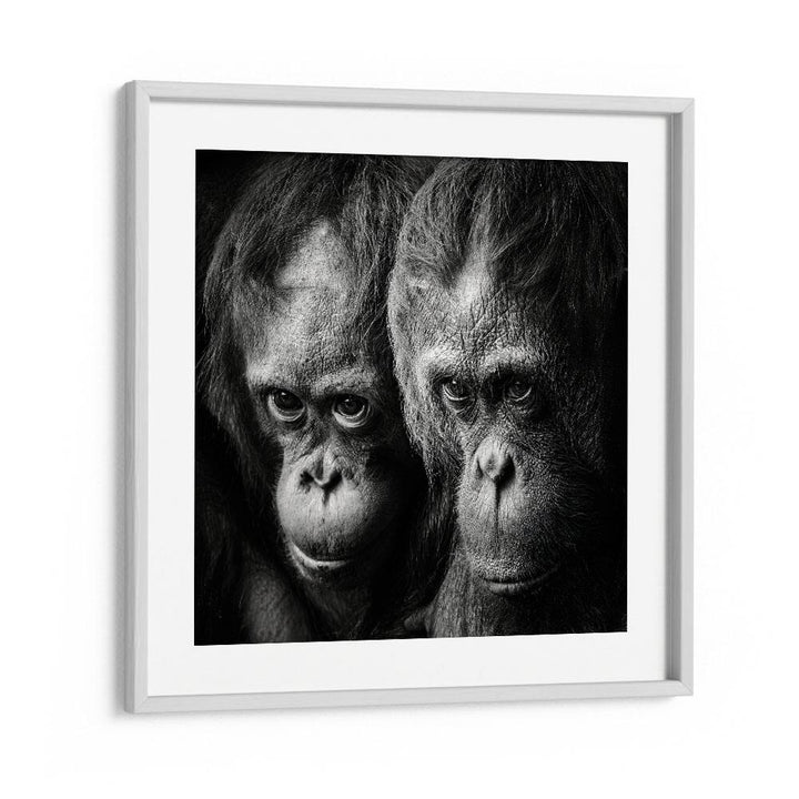 SOMETHING YOU SAID WILDLIFE PHOTOGRAPHY in White Frame With Mount