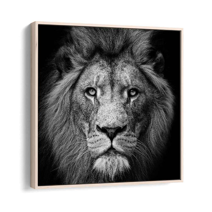 STARE ME DOWN WILDLIFE PHOTOGRAPHY in Oak Wood Floater Frame