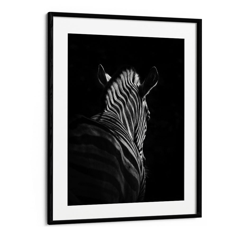 STEPPING DOWN WILDLIFE PHOTOGRAPHY in Black Frame With Mount