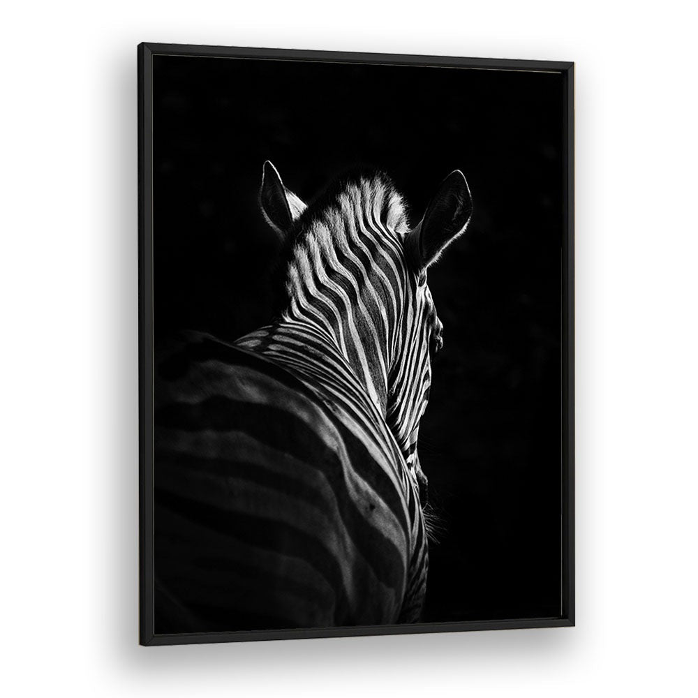 STEPPING DOWN WILDLIFE PHOTOGRAPHY in Black Plain Frame