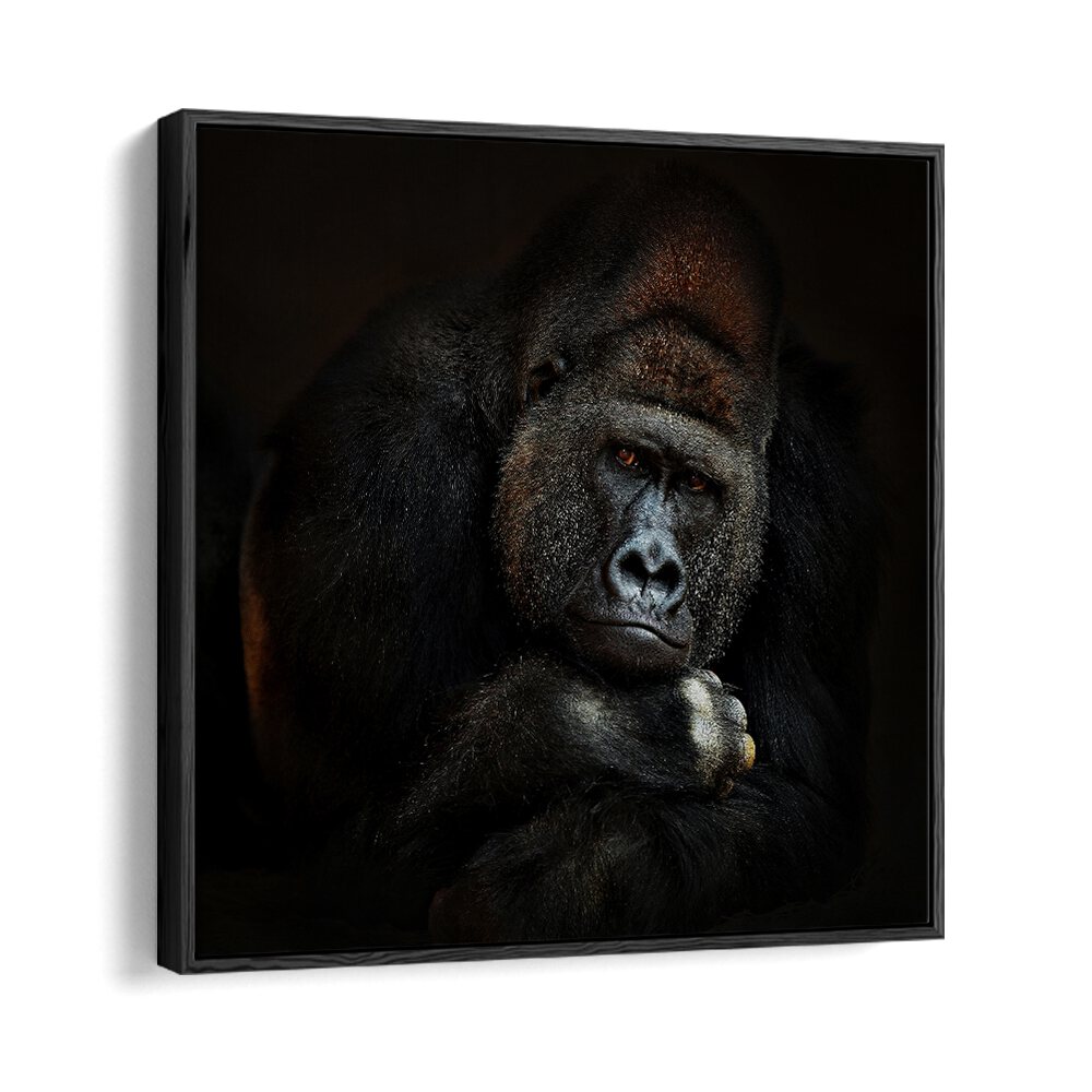 STRENGTH IN SERENITY WILDLIFE-PHOTOGRAPHY in Black Floater Frame