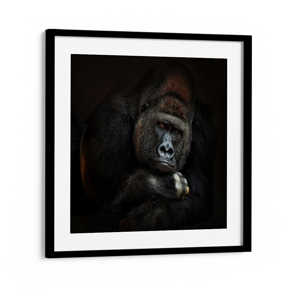 STRENGTH IN SERENITY WILDLIFE-PHOTOGRAPHY in Black Frame With Mount