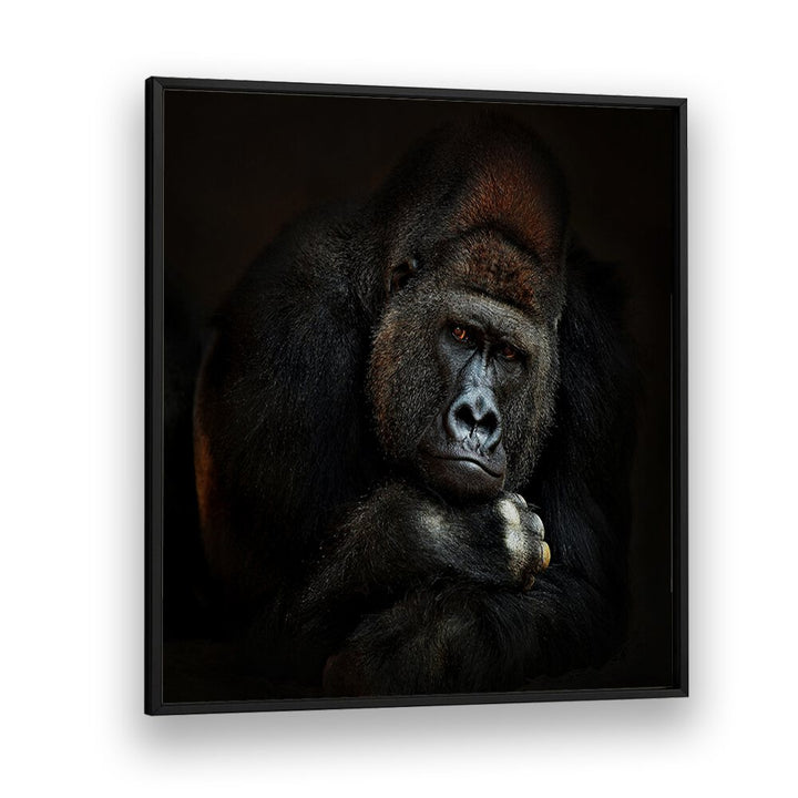 STRENGTH IN SERENITY WILDLIFE-PHOTOGRAPHY in Black Plain Frame