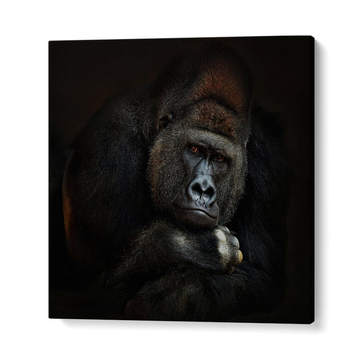 STRENGTH IN SERENITY WILDLIFE-PHOTOGRAPHY in Gallery Wrap