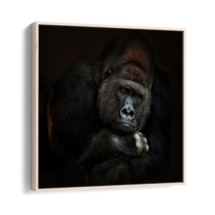 STRENGTH IN SERENITY WILDLIFE-PHOTOGRAPHY in Oak Wood Floater Frame