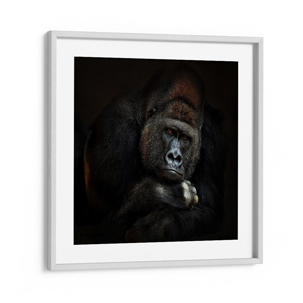 STRENGTH IN SERENITY WILDLIFE-PHOTOGRAPHY in White Frame With Mount