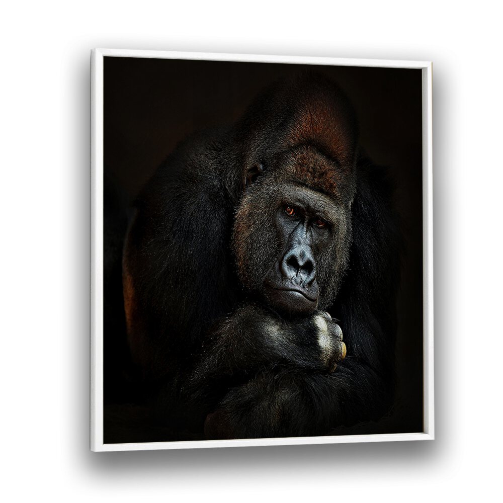 STRENGTH IN SERENITY WILDLIFE-PHOTOGRAPHY in White Plain Frame