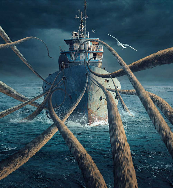 SULAIMAN ALMAWASH - PHOTOGRAPHER