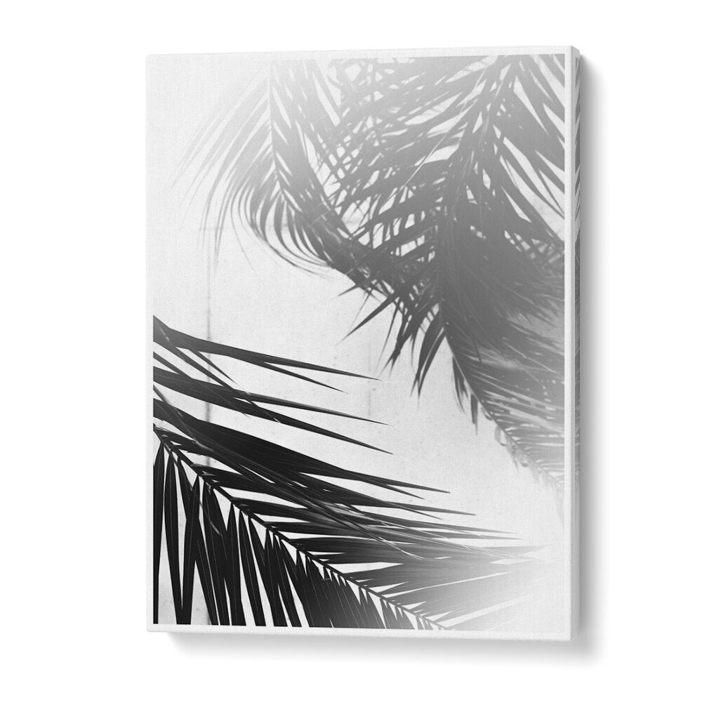 Ritvik Takkar painting - SUMMER PALMS by Asianmonk