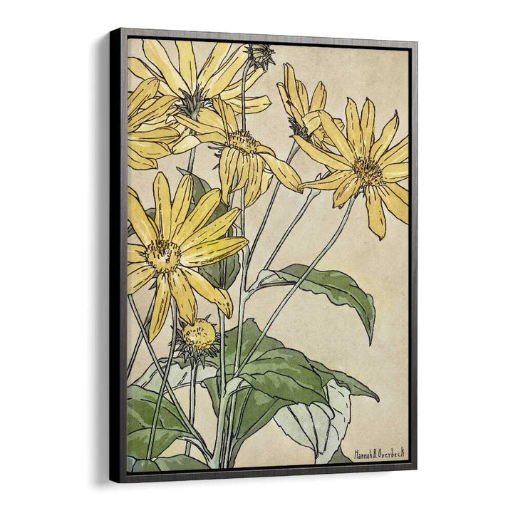 Sunflowers By Hannah Borger   Botanical Flower Paintings Artwork  in Black Floater Frame