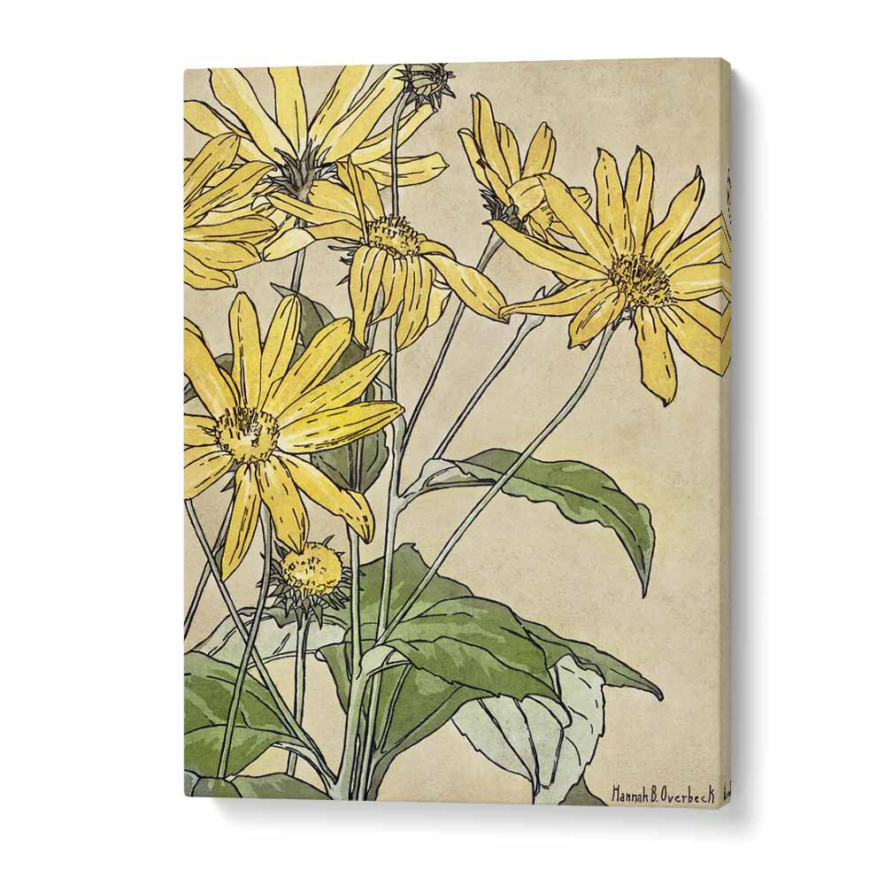 Sunflowers By Hannah Borger   Botanical Flower Paintings Artwork in Gallery Wrap