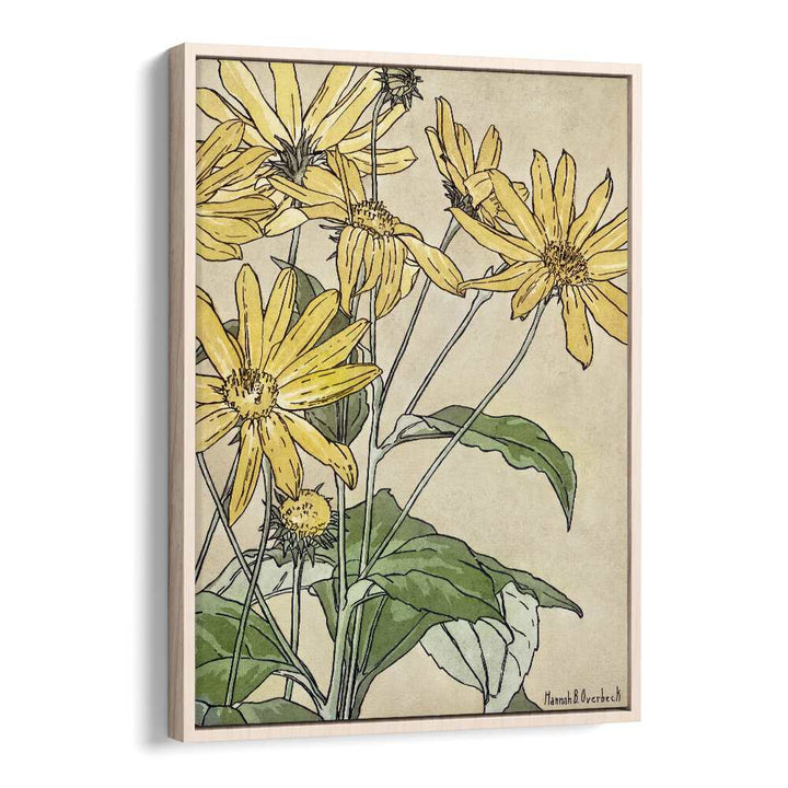 Sunflowers By Hannah Borger  Botanical Flower Paintings Artwork in Oak Wood Floater Frame