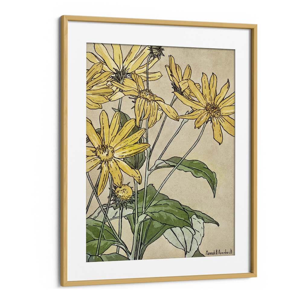 Sunflowers By Hannah Borger  Botanical Flower Paintings Artwork in Oak Wood Frame With Mount