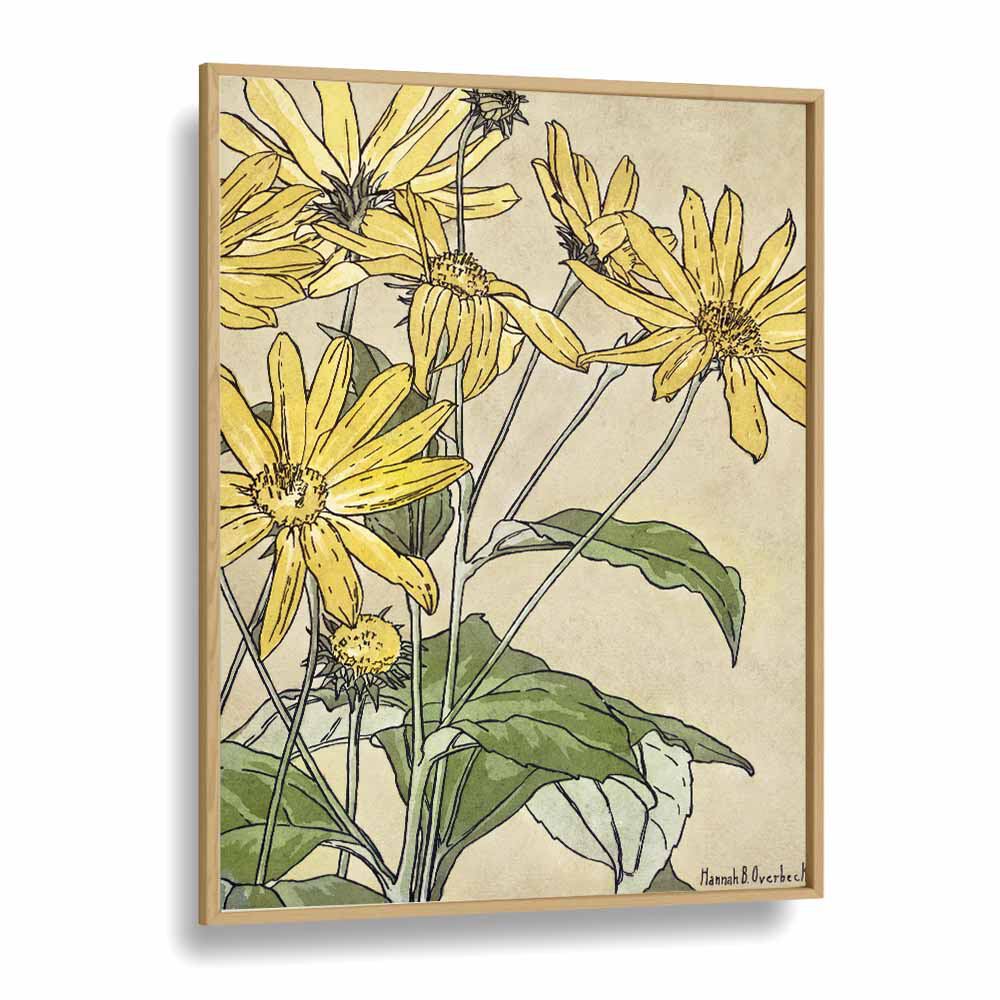 Sunflowers By Hannah Borger   Botanical Flower Paintings Artwork in Oak Wood Plain Frame