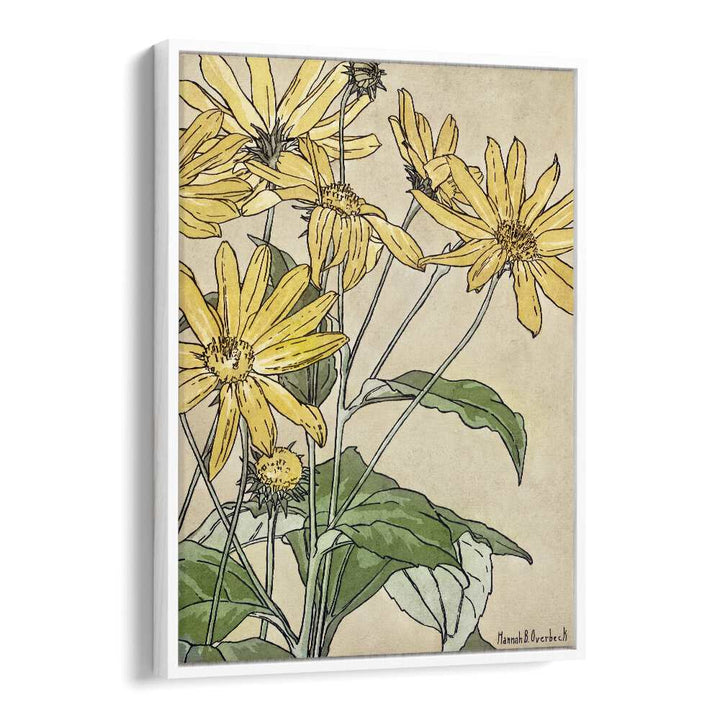 Sunflowers By Hannah Borger  Botanical Flower Paintings Artwork  in White Floater Frame