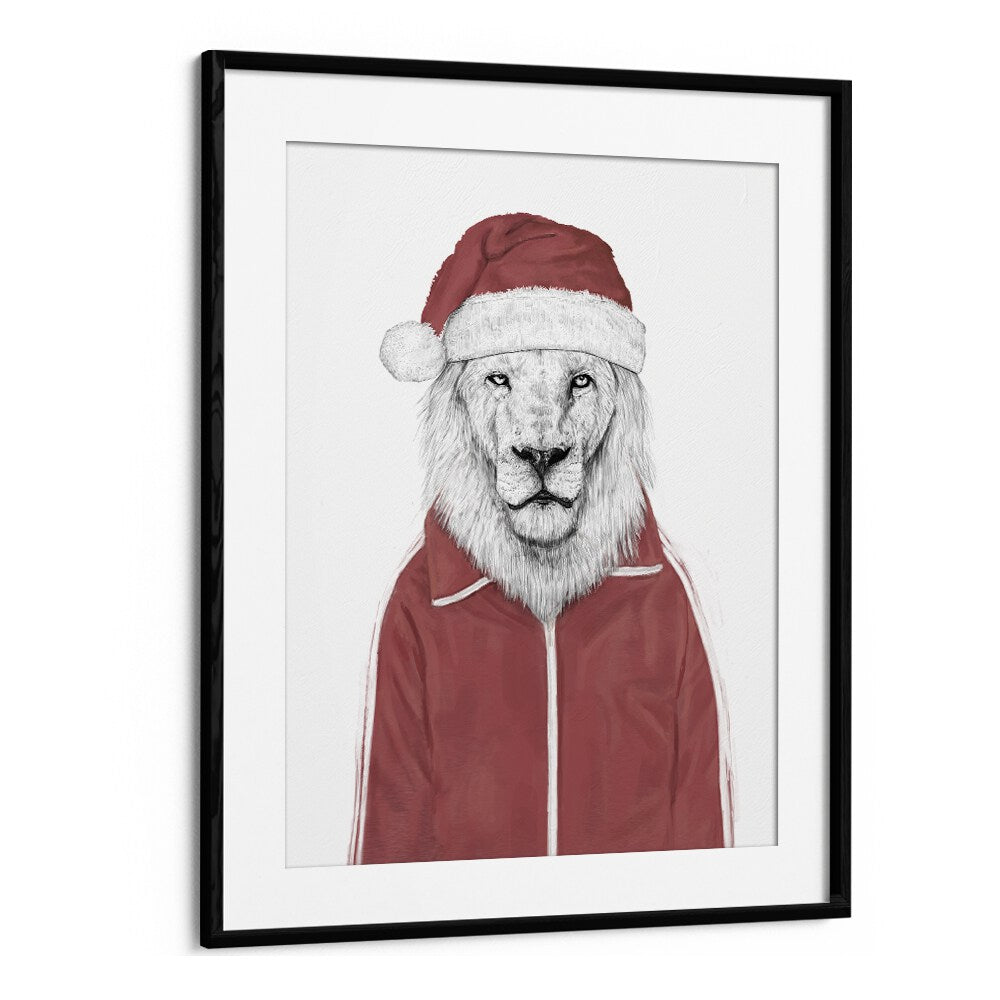 Santa Lion By Balazs Solti Wildlife Art Prints in Black Frame With Mount