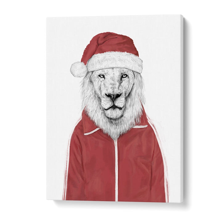 Santa Lion By Balazs Solti Wildlife Art Prints in Gallery Wrap