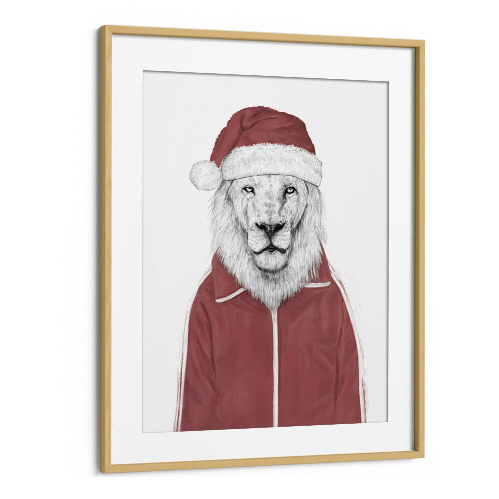 Santa Lion By Balazs Solti Wildlife Art Prints in Oak Wood Frame With Mount