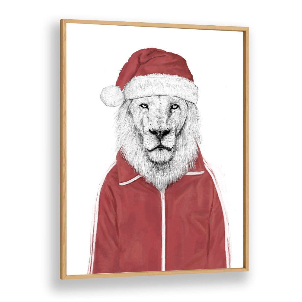 Santa Lion By Balazs Solti Wildlife Art Prints in Oak Wood Plain Frame