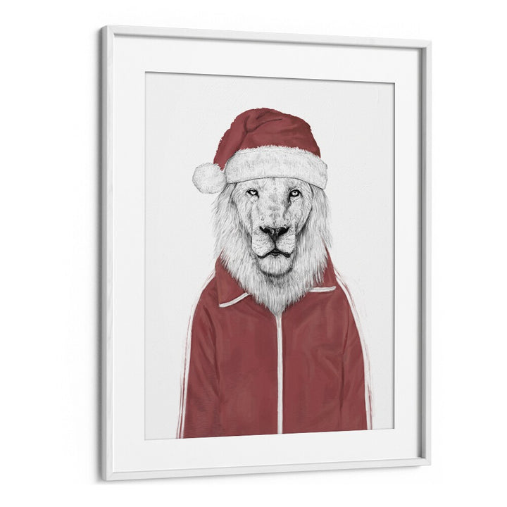 Santa Lion By Balazs Solti Wildlife Art Prints in White Frame With Mount