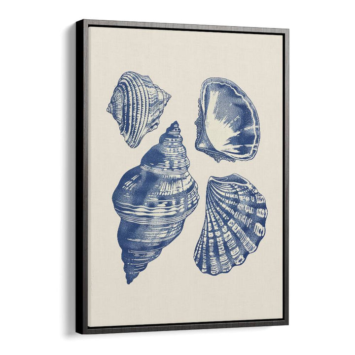 Seashore Jewels I Beach Prints Coastal Wall Art in Black Floater Frame