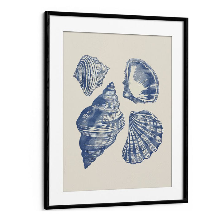 Seashore Jewels I Beach Prints Coastal Wall Art in Black Frame With Mount