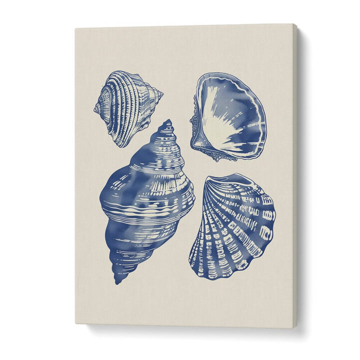 Seashore Jewels I Beach Prints Coastal Wall Art in Gallery Wrap