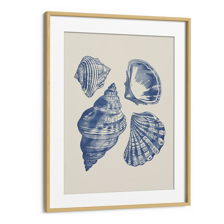 Seashore Jewels I Beach Prints Coastal Wall Art in Oak Wood Frame With Mount