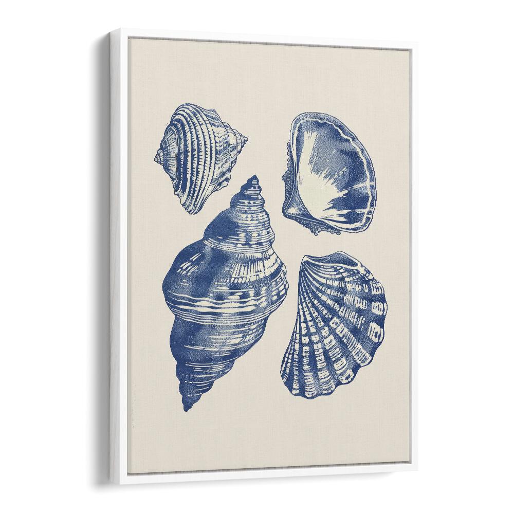 Seashore Jewels I Beach Prints Coastal Wall Art in White Floater Frame