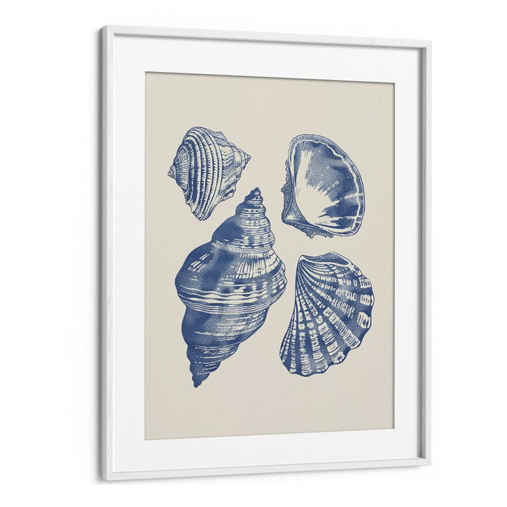 Seashore Jewels I Beach Prints Coastal Wall Art in White Frame With Mount