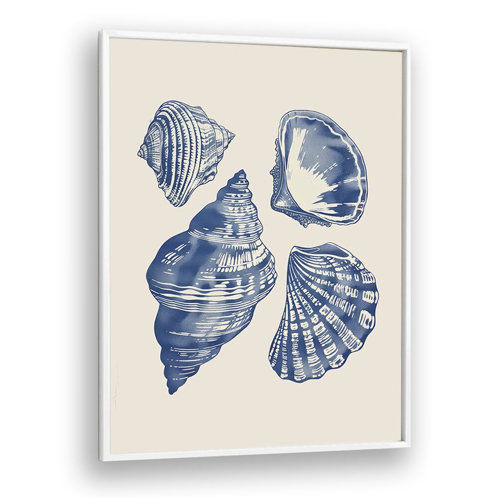 Seashore Jewels I Beach Prints Coastal Wall Art in White Plain Frame