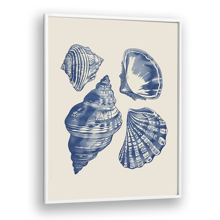 Seashore Jewels I Beach Prints Coastal Wall Art in White Plain Frame