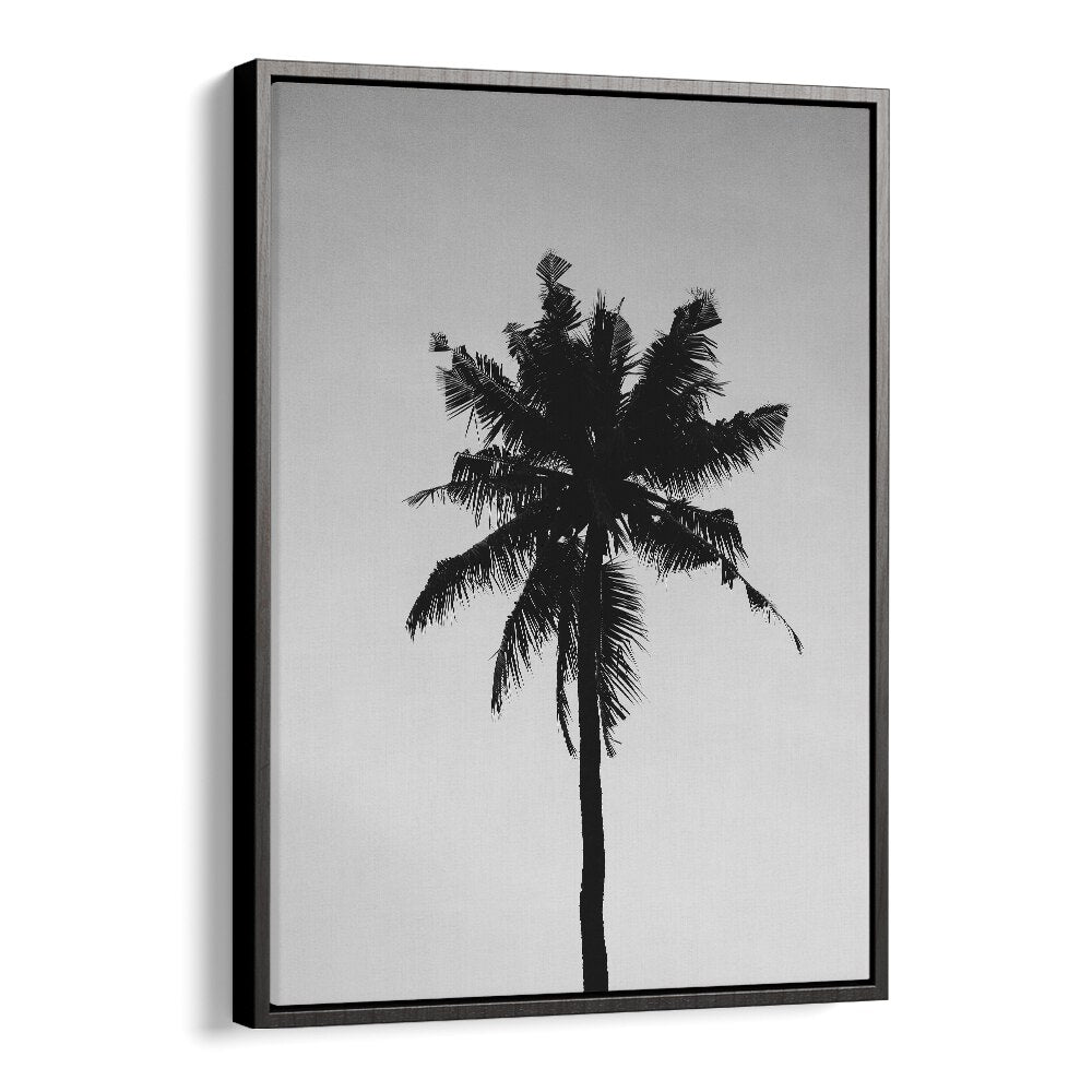 Shadowed Tropics Beach Prints Coastal Wall Art in Black Floater Frame