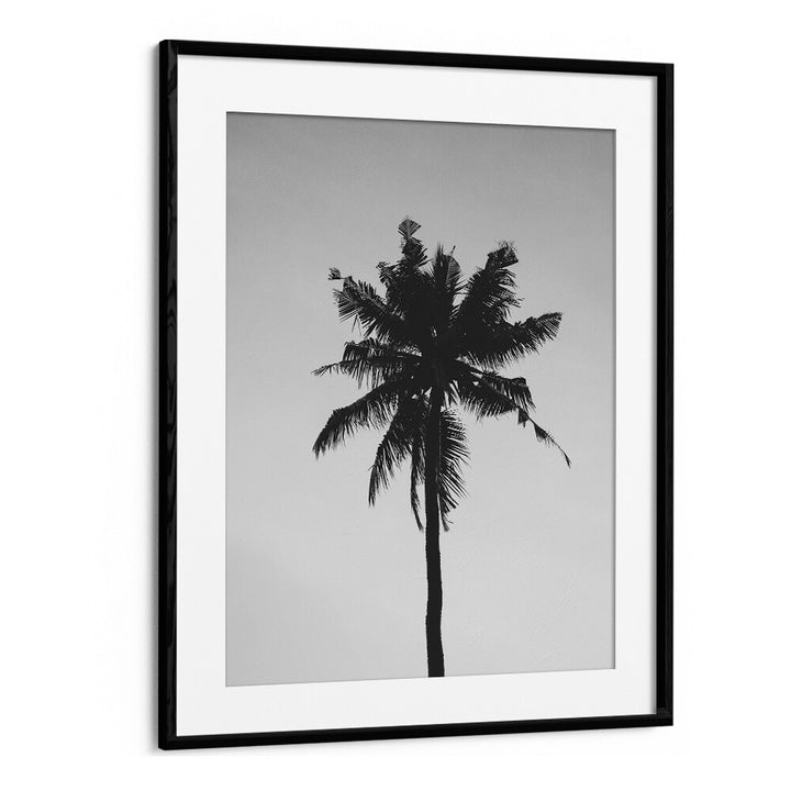 Shadowed Tropics Beach Prints Coastal Wall Art in Black Frame With Mount