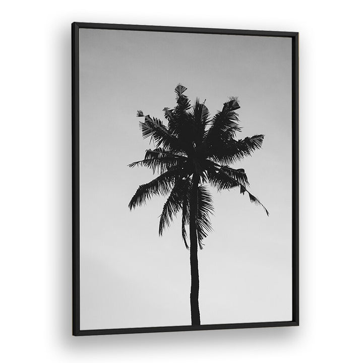 Shadowed Tropics Beach Prints Coastal Wall Art in Black Plain Frame