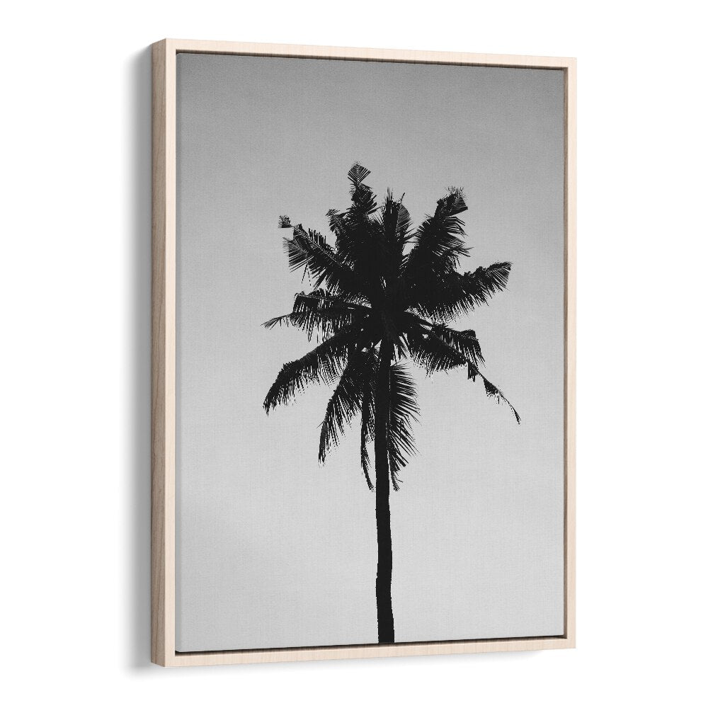 Shadowed Tropics Beach Prints Coastal Wall Art in Oak Wood Floater Frame